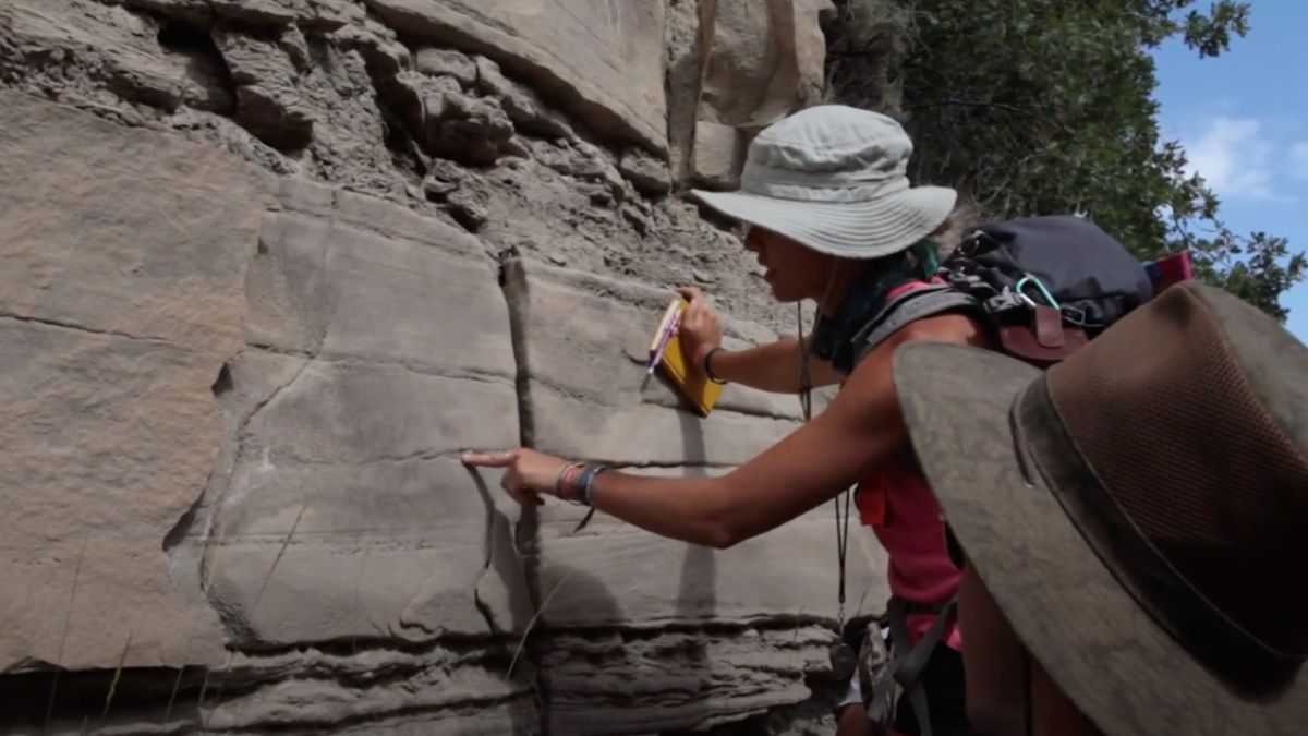 content.field_image.alt